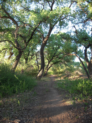 Corrales Preserve