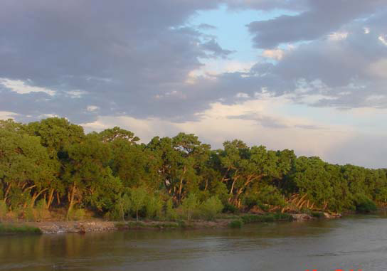 Rio Grande Riverbank