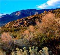 sandia sunset