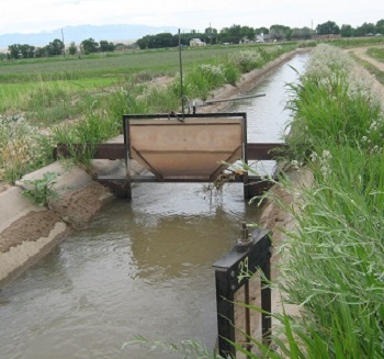 cutting weeds with tractor next to rio grande