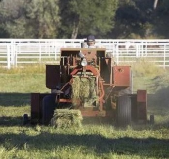 cutting weeds with tractor next to rio grande