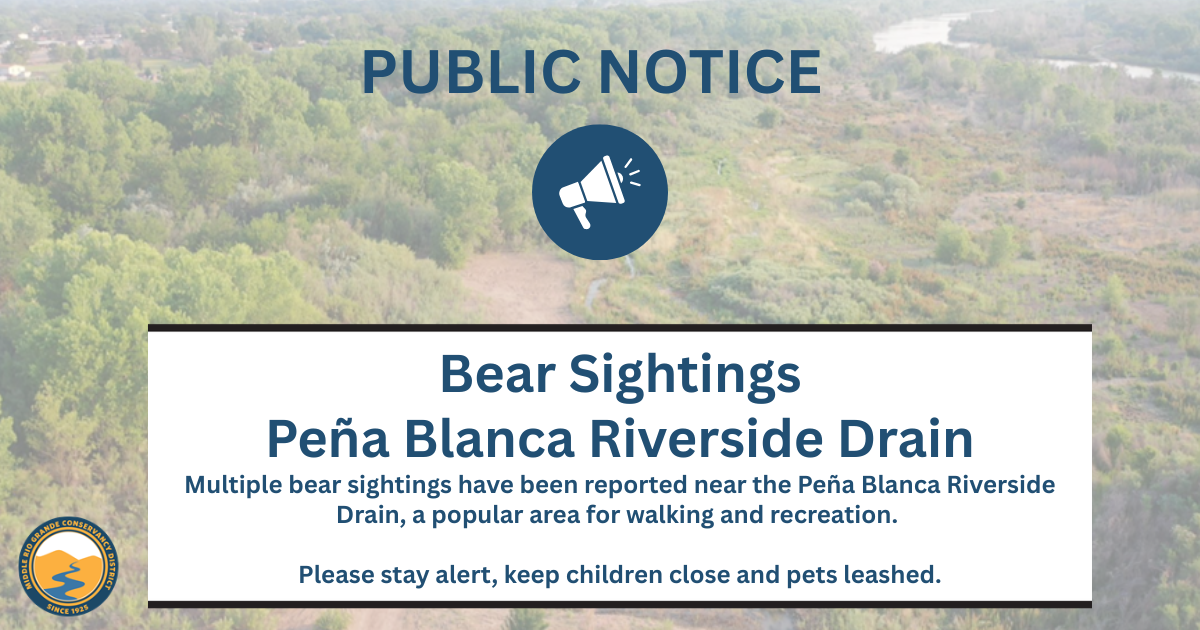 Public Notice: Bear Sightings near Pena Blanca Riverside Drain